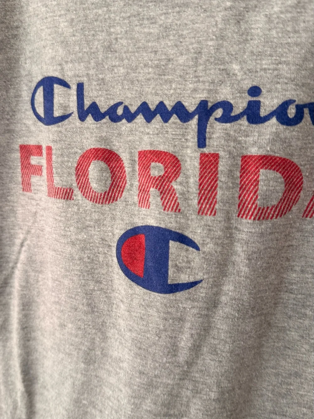 Champion Florida Graphic T-Shirt - Gray - Size L - Picture 4 of 5